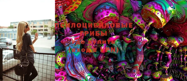 ГАЛЛЮЦИНОГЕННЫЕ ГРИБЫ Бронницы
