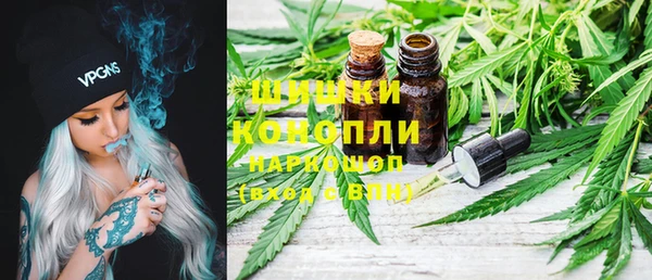 ГАЛЛЮЦИНОГЕННЫЕ ГРИБЫ Бронницы