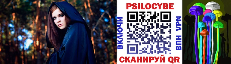 Псилоцибиновые грибы Psilocybe  продажа наркотиков  мега сайт  Староминская 